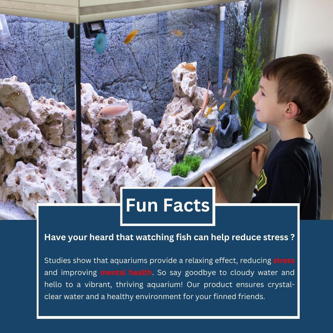 Why Aquatic Water Filtration Media is a Game-Changer for Your Pond or Aquarium