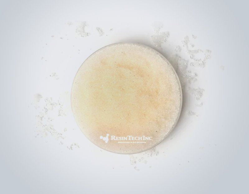 Strong Base Anion Resins