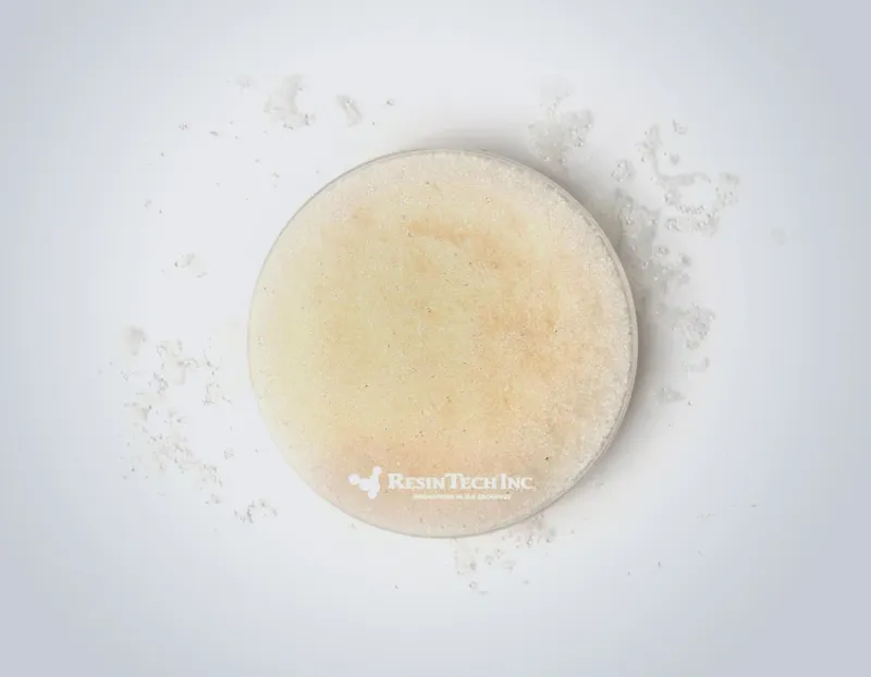 Strong Base Anion Resins